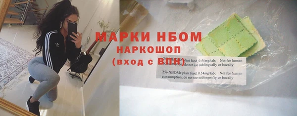 ешки Бородино