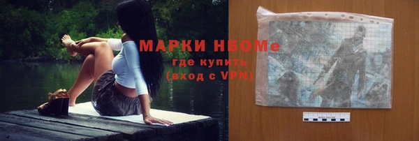 ешки Бородино