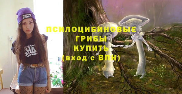 ешки Бородино