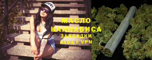 ешки Бородино