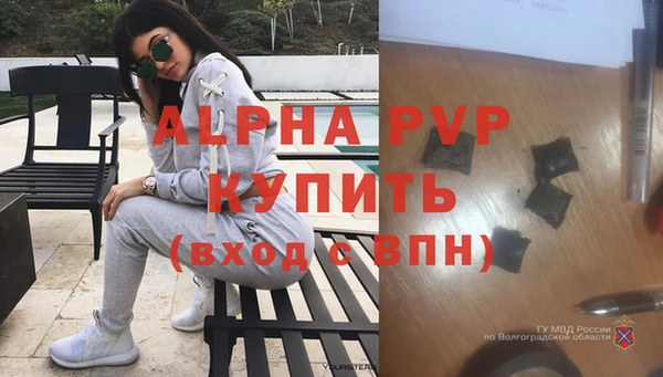 ешки Бородино