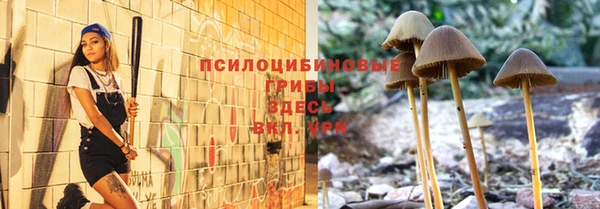 ешки Бородино