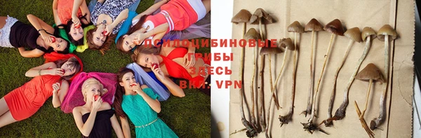 гидропоника Верея