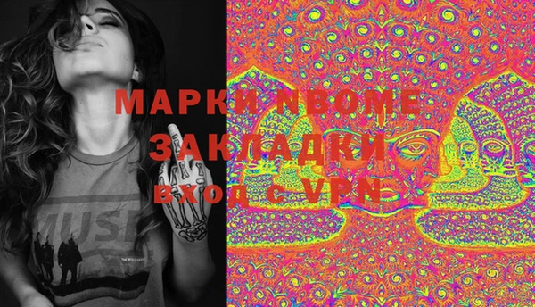 ешки Бородино