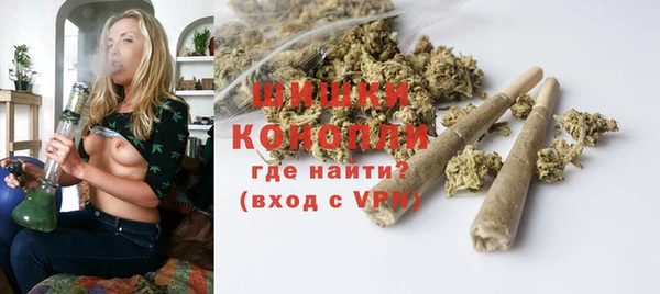ешки Бородино