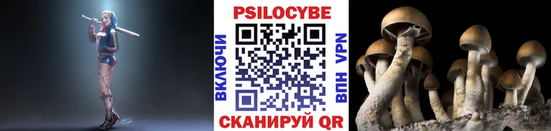 Псилоцибиновые грибы Psilocybine cubensis Брюховецкая